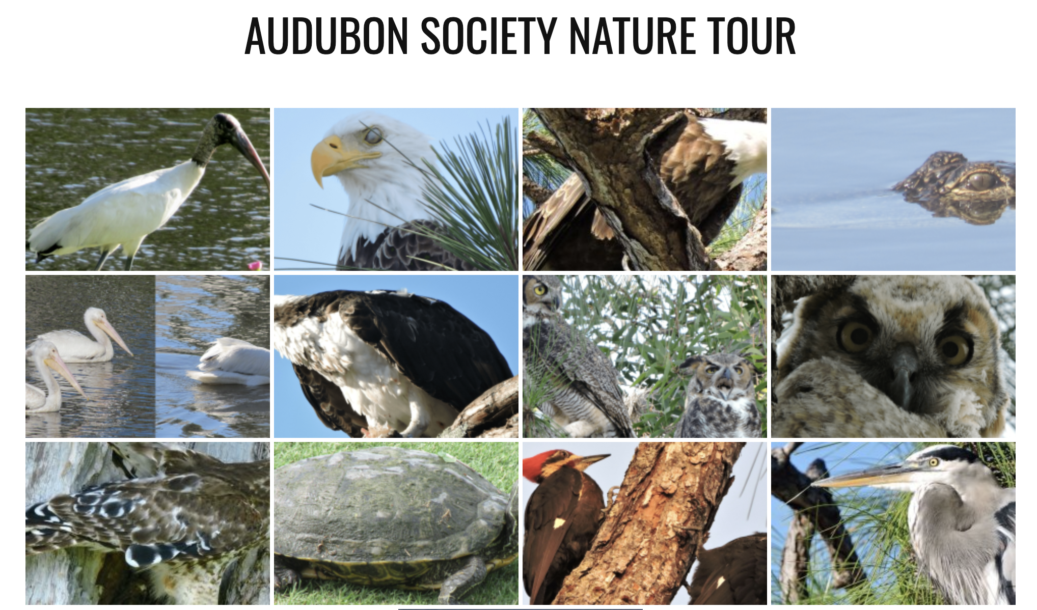 estero-country-club-audubon-society-nature-tour